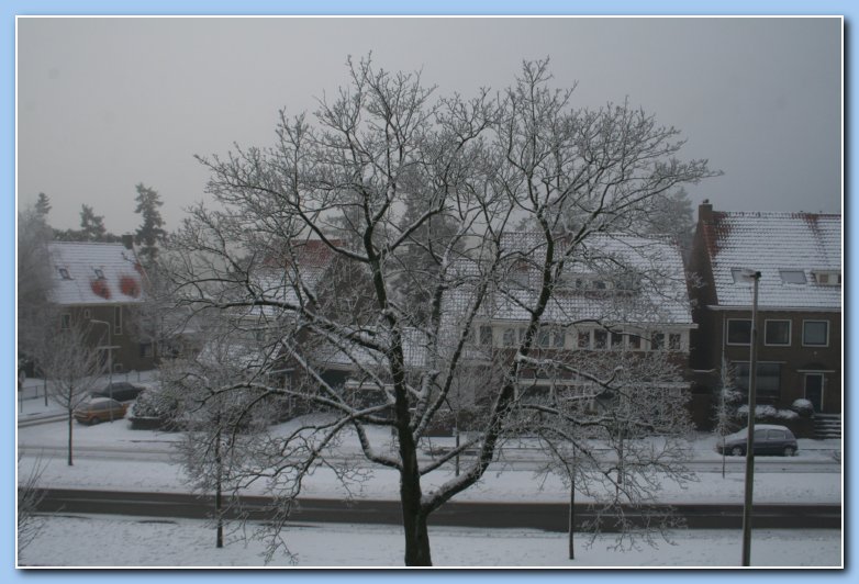 Arnhem Snow 096